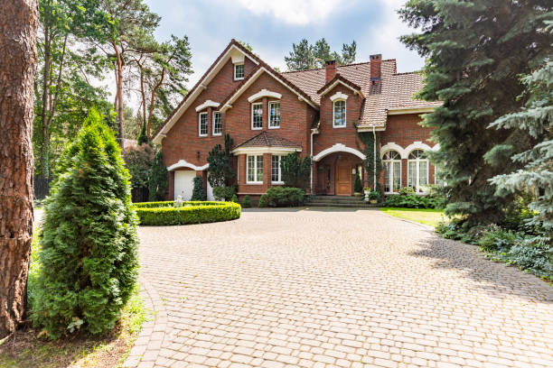 Best Professional Driveway Pavers  in Socorro, TX