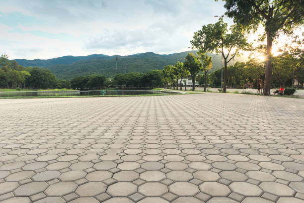Best Concrete Paver Driveway  in Socorro, TX