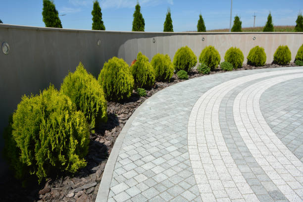 Best Concrete Paver Driveway  in Socorro, TX